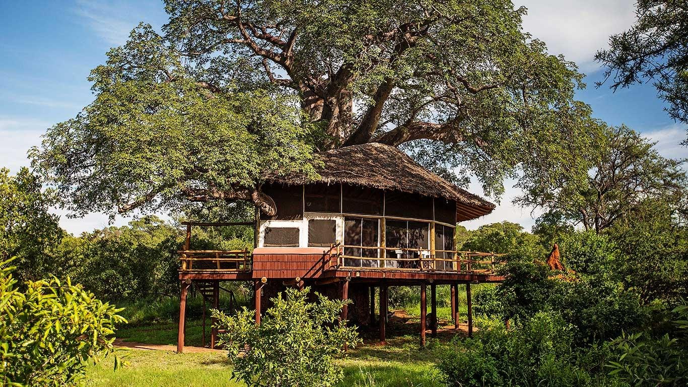 Tarangire Treetops — Elevated treehouse suite and balcony.